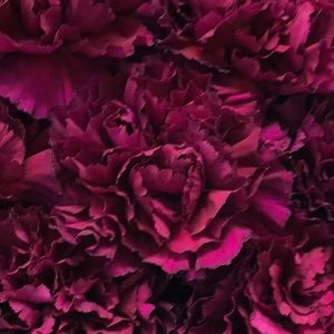 Meet your Posher, Valerie